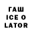 Псилоцибиновые грибы прущие грибы Michael Lewiston