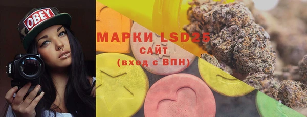 стаф Аркадак