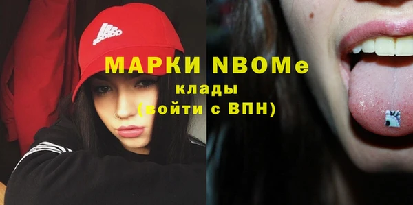 стаф Аркадак