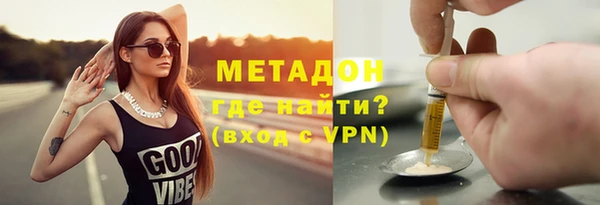 прущие грибы Арсеньев