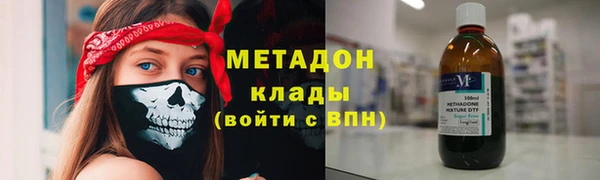 прущие грибы Арсеньев