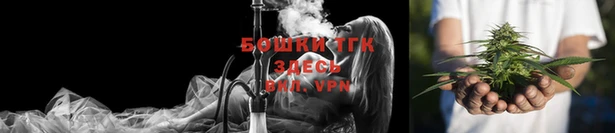 стаф Аркадак