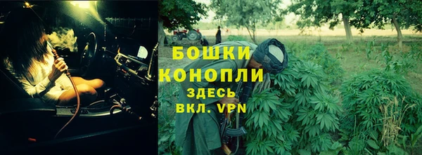 spice Дмитровск