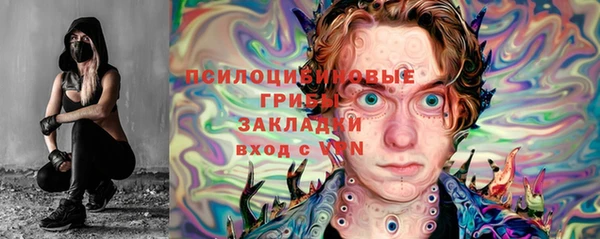 прущие грибы Арсеньев
