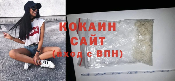ПСИЛОЦИБИНОВЫЕ ГРИБЫ Дмитриев