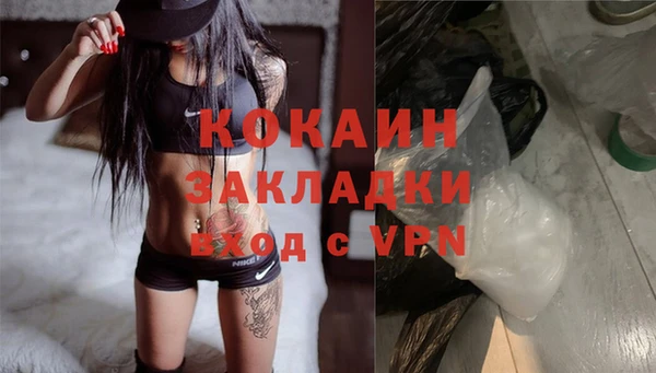 прущие грибы Арсеньев